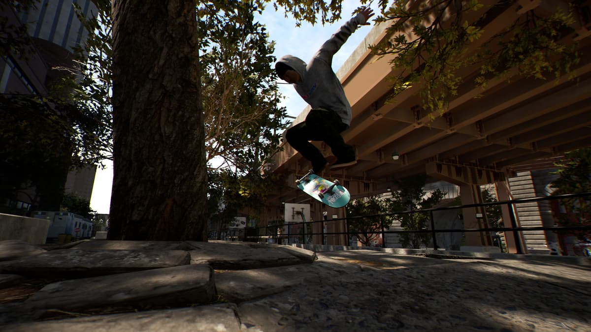 Picture of Session: Skate Sim