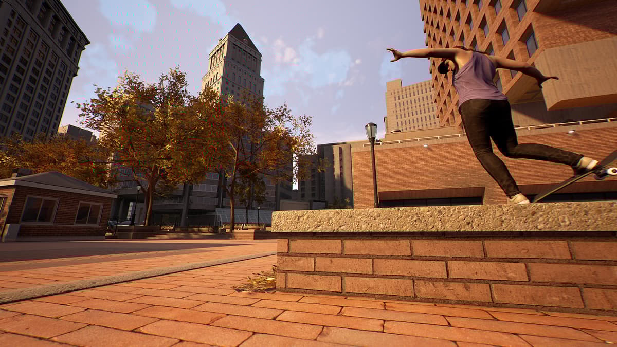Picture of Session: Skate Sim