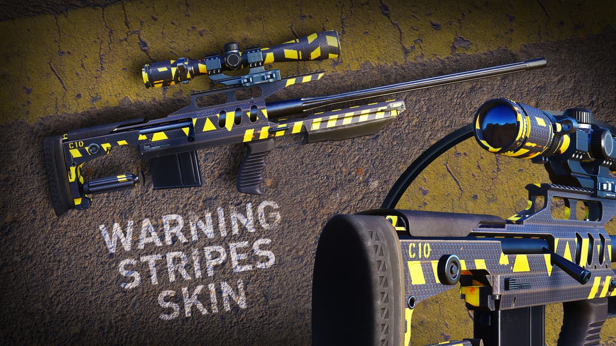 Picture of Sniper Ghost Warrior Contracts 2 - Blue Servers Skins