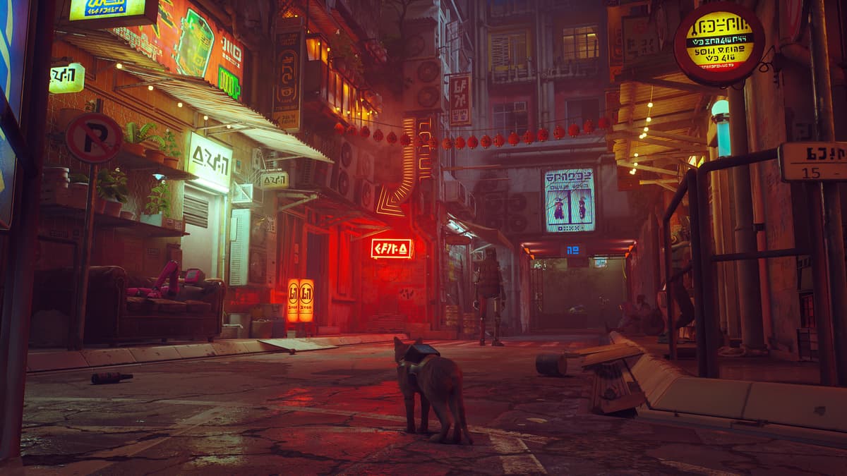 Picture of Stray