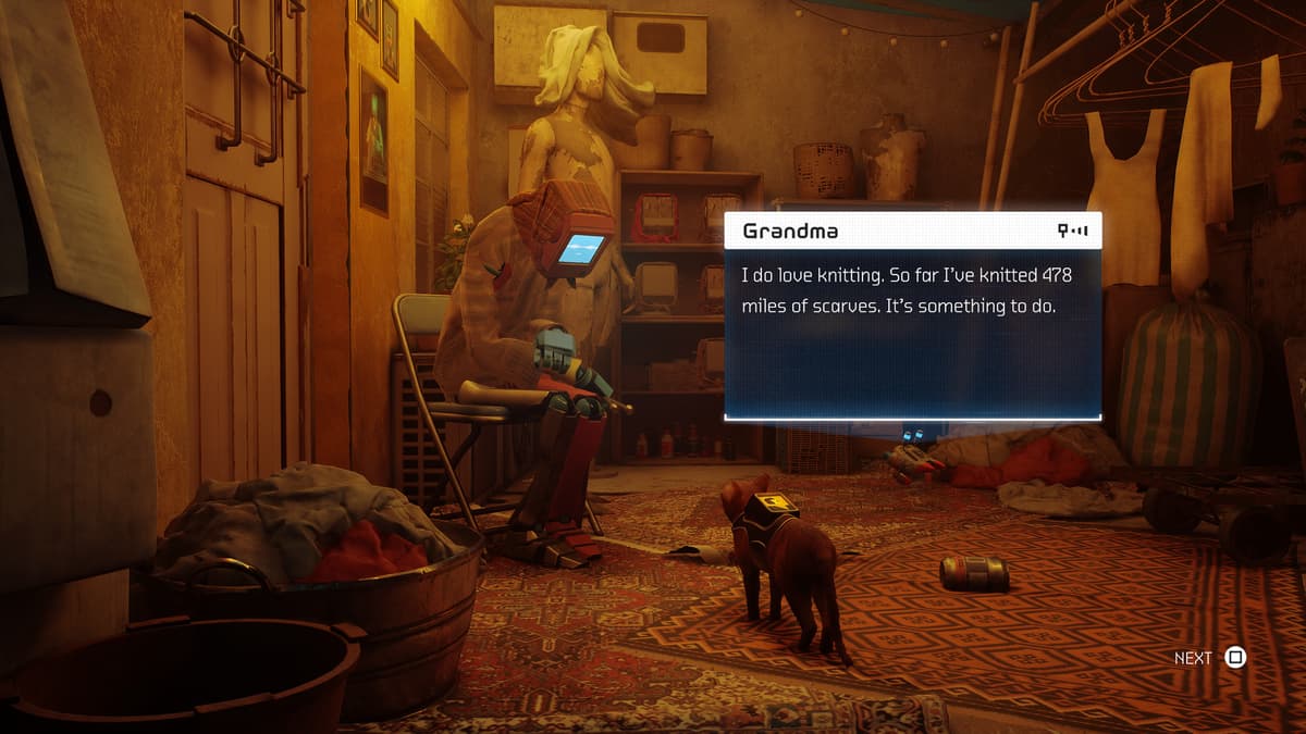 Picture of Stray