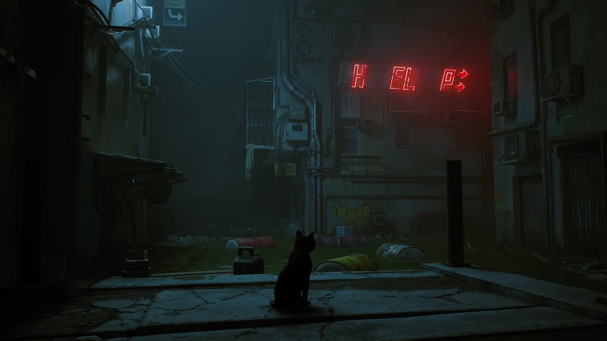 Picture of Stray