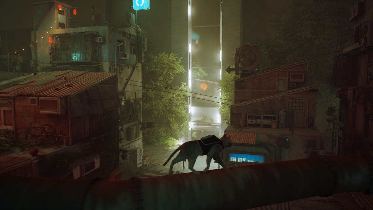 Picture of Stray