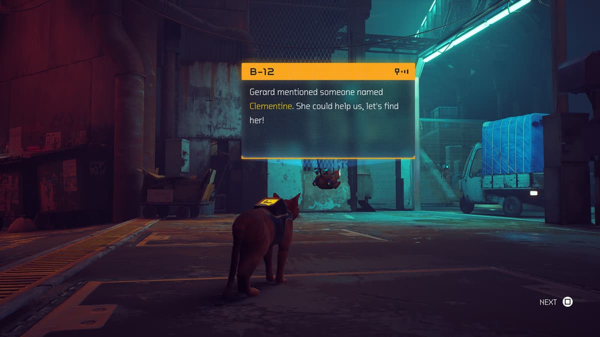 Picture of Stray