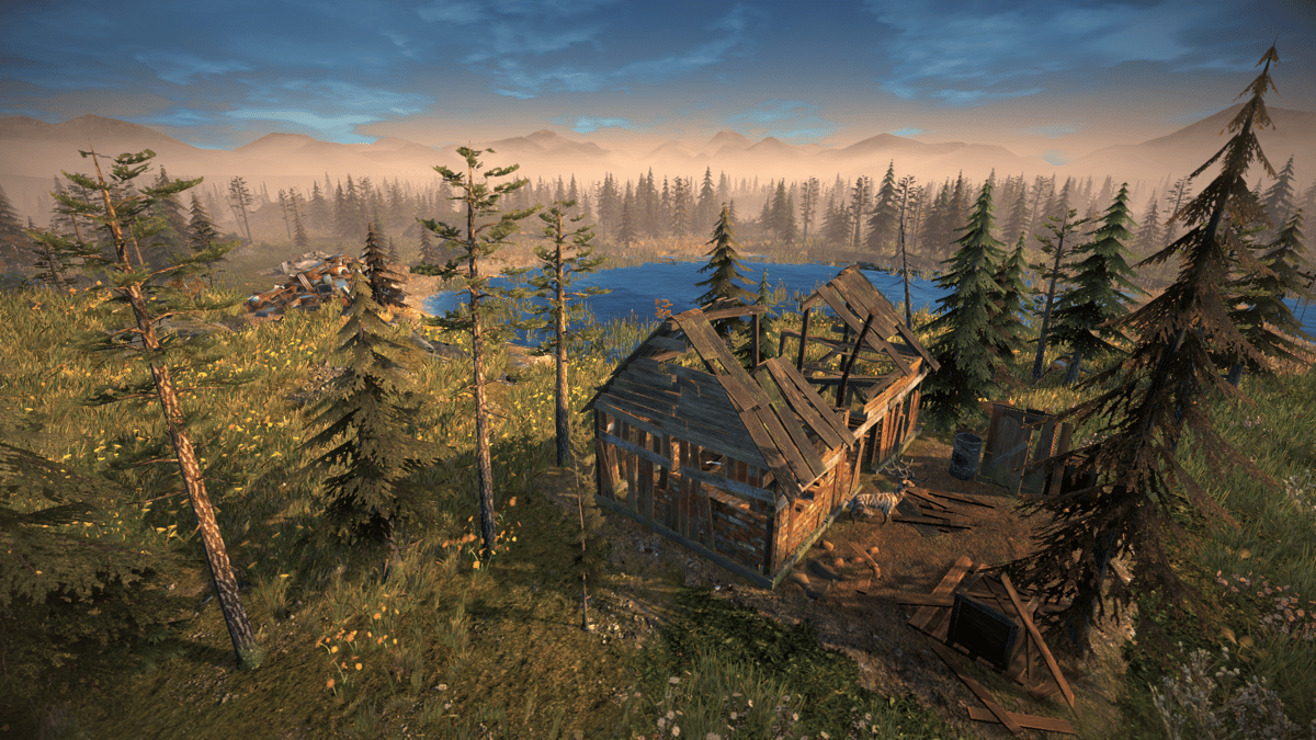 Picture of Surviving the Aftermath