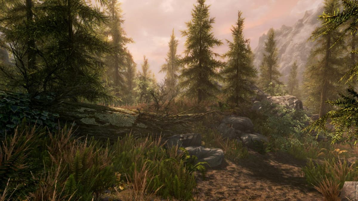 Picture of The Elder Scrolls V: Skyrim Special Edition