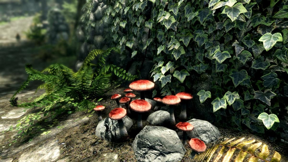 Picture of The Elder Scrolls V: Skyrim Special Edition