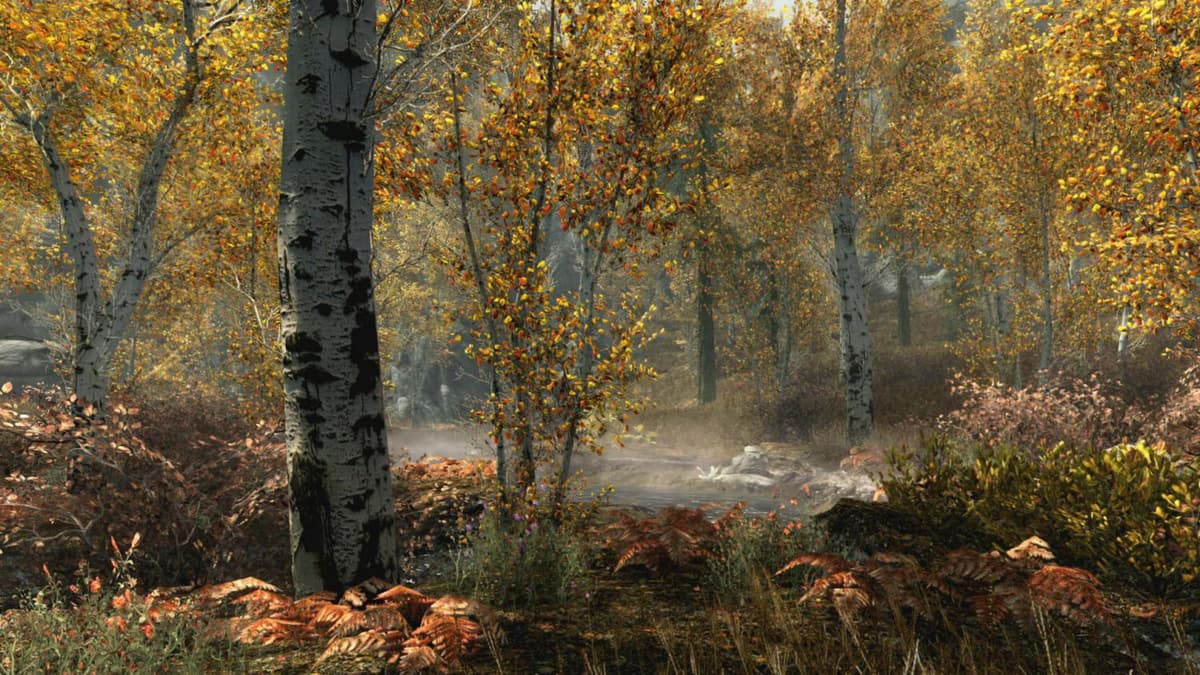Picture of The Elder Scrolls V: Skyrim Special Edition