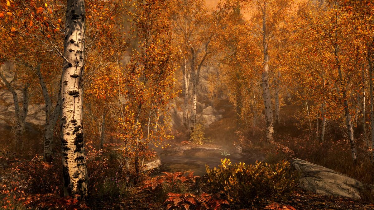 Picture of The Elder Scrolls V: Skyrim Special Edition