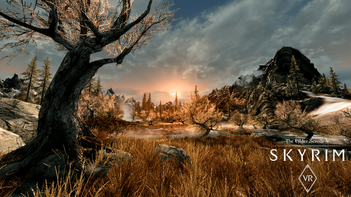 Picture of The Elder Scrolls V: Skyrim VR