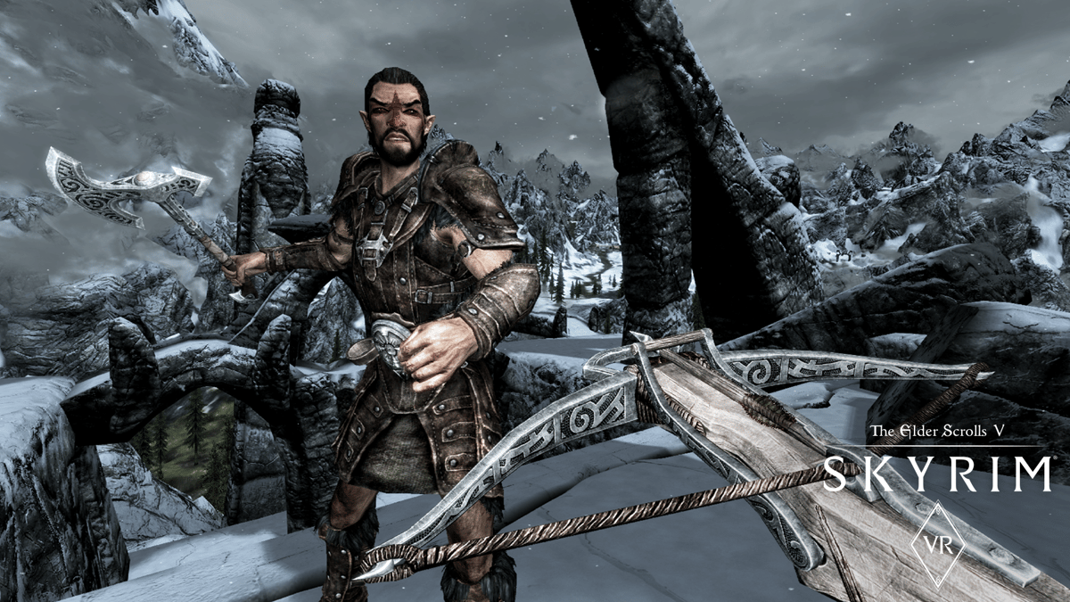 Picture of The Elder Scrolls V: Skyrim VR