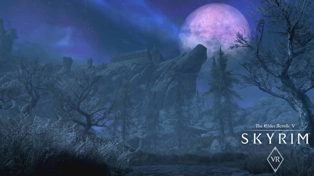 Picture of The Elder Scrolls V: Skyrim VR