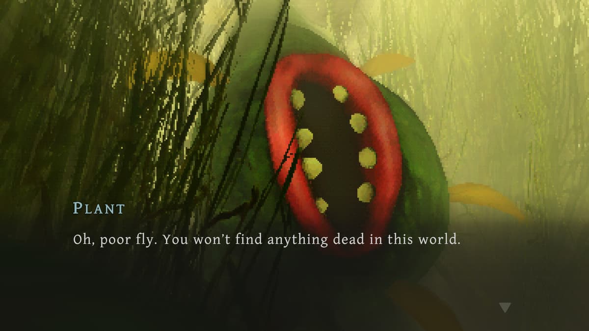 Picture of The Hungry Fly