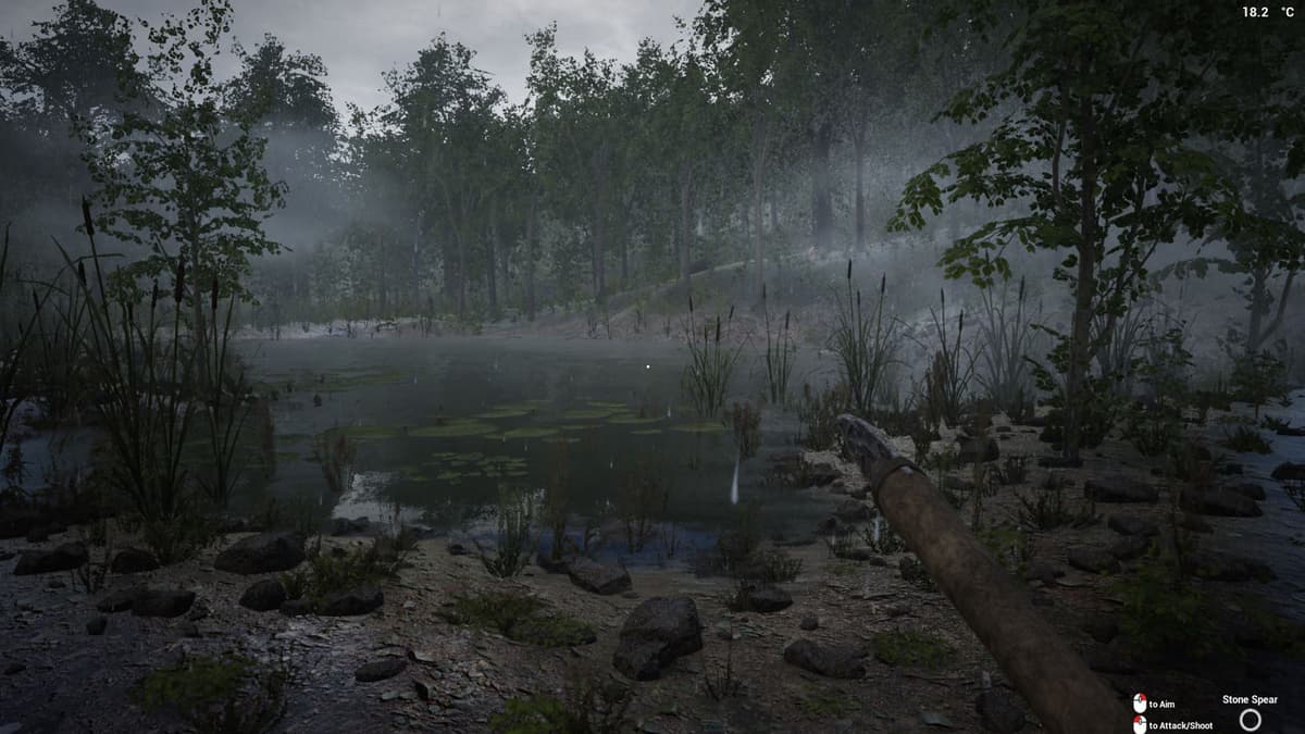 Picture of The Infected