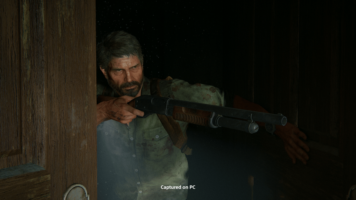 Picture of The Last of Us Part II Remastered