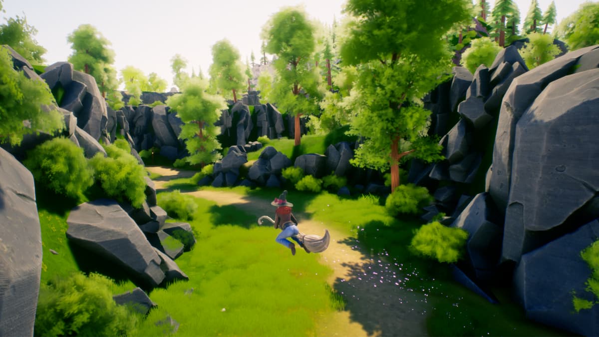 Picture of The Witch of Fern Island