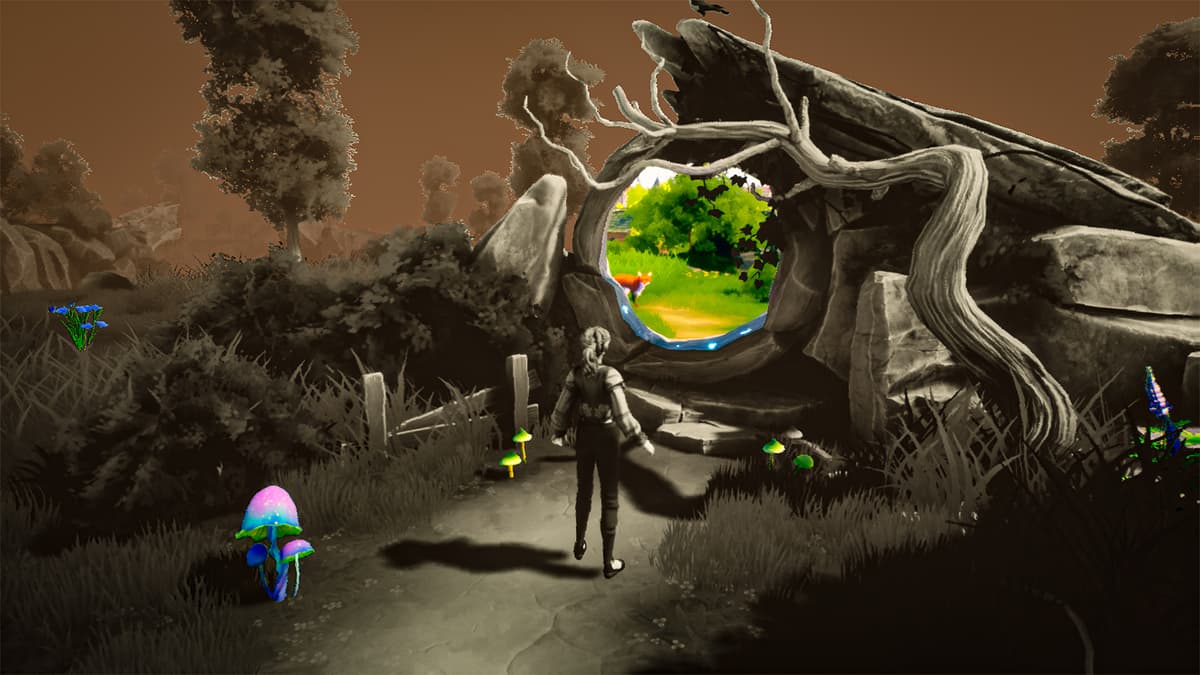 Picture of The Witch of Fern Island