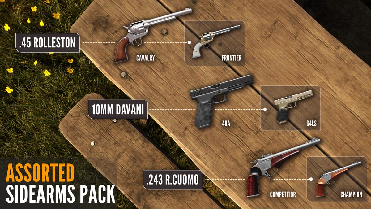 Picture of theHunter: Call of the Wild™ - Assorted Sidearms Pack