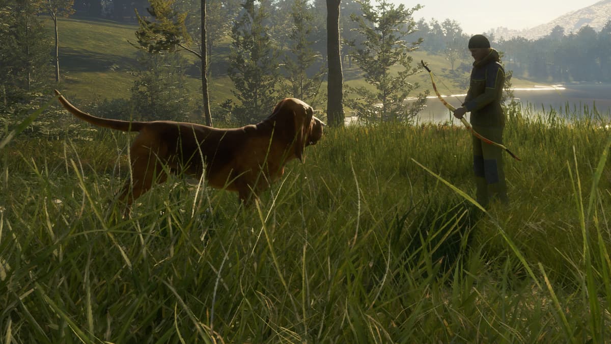 Picture of theHunter: Call of the Wild™ - Bloodhound