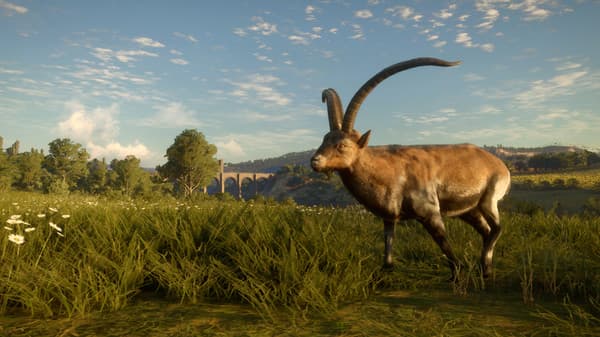 Picture of theHunter: Call of the Wild™ - Cuatro Colinas Game Reserve