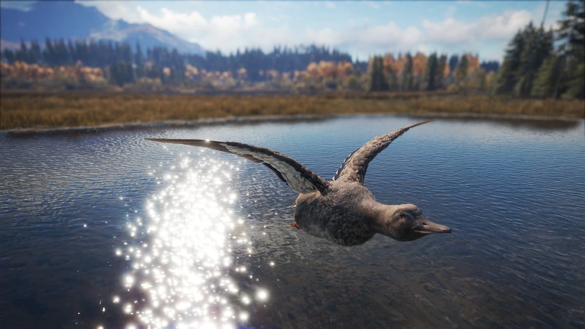 Picture of theHunter: Call of the Wild™ - Duck and Cover Pack