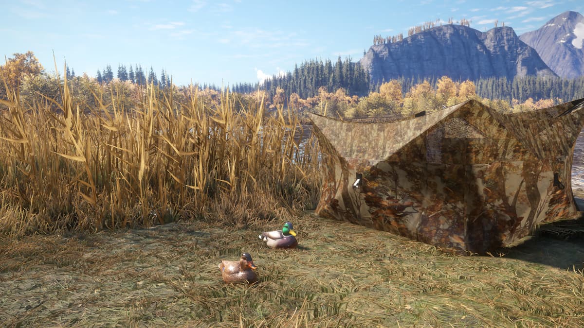 Picture of theHunter: Call of the Wild™ - Duck and Cover Pack