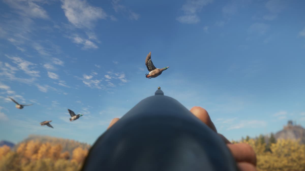 Picture of theHunter: Call of the Wild™ - Duck and Cover Pack
