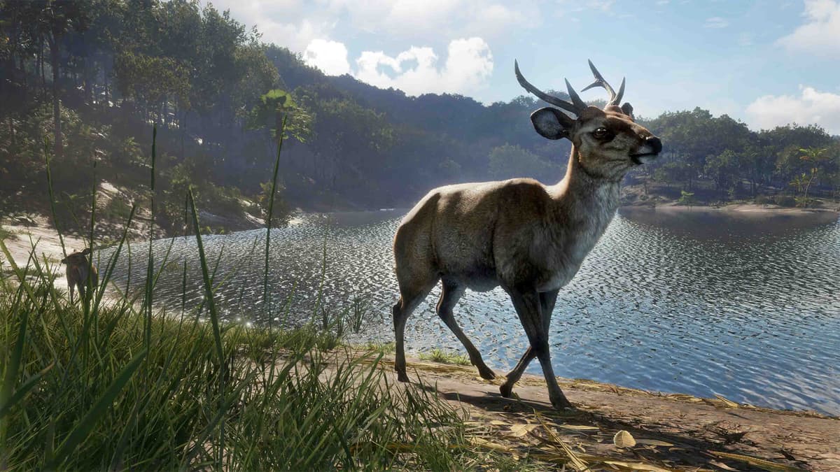 Picture of theHunter: Call of the Wild™ - Emerald Coast Australia