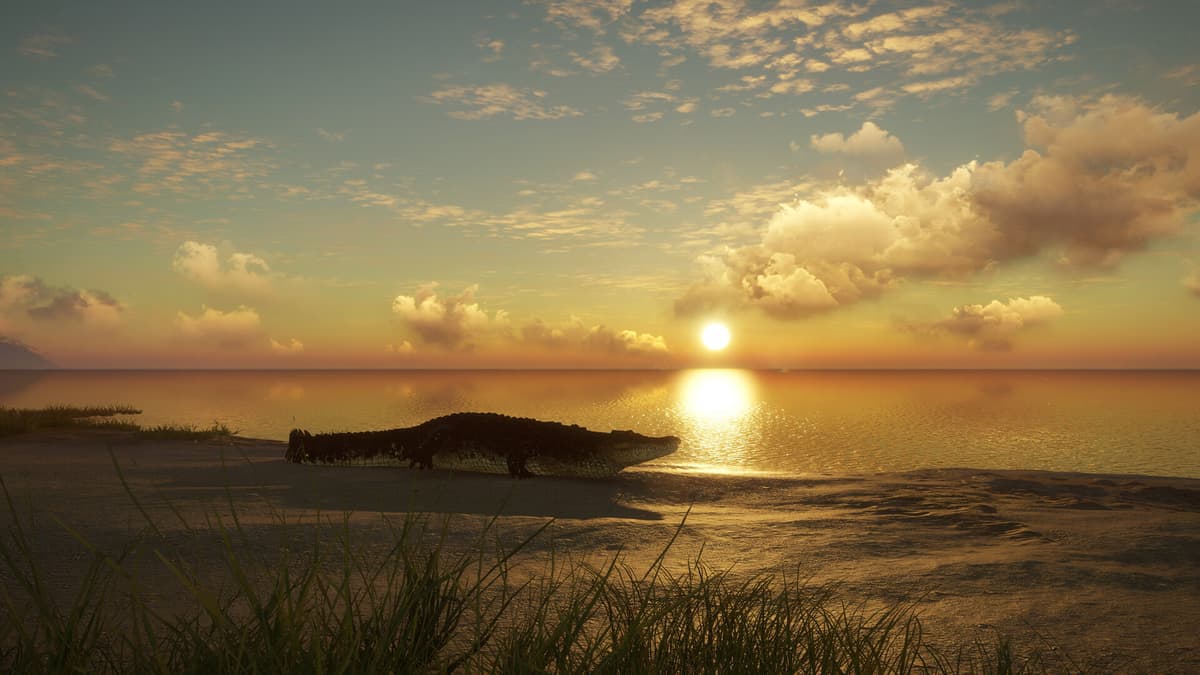 Picture of theHunter: Call of the Wild™ - Emerald Coast Australia