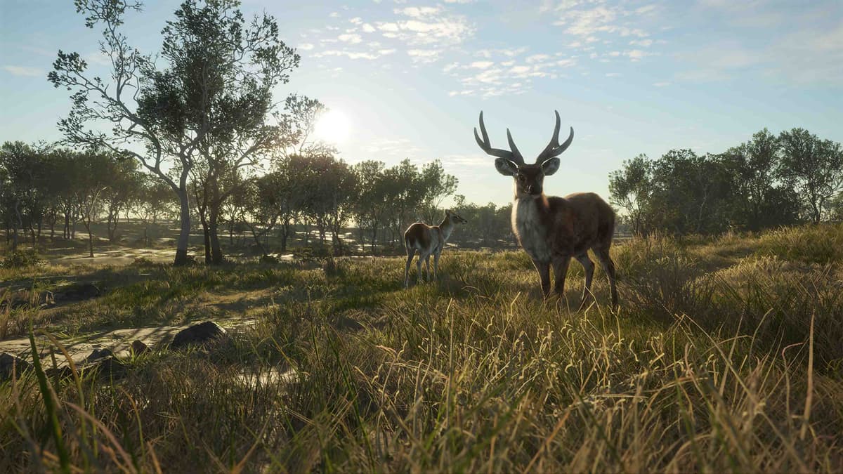 Picture of theHunter: Call of the Wild™ - Emerald Coast Australia