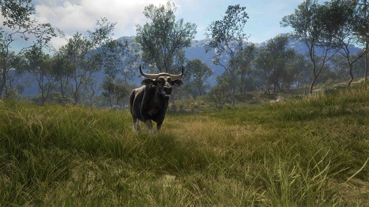 Picture of theHunter: Call of the Wild™ - Emerald Coast Australia