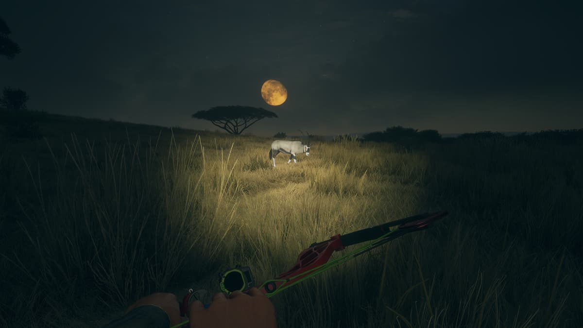 Picture of theHunter: Call of the Wild™ - High-Tech Hunting Pack