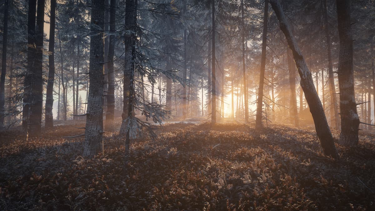 Picture of theHunter: Call of the Wild™ - Medved-Taiga
