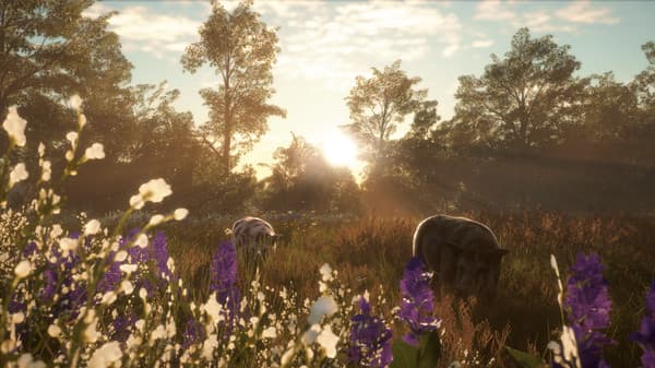 Picture of theHunter: Call of the Wild™ - Mississippi Acres Preserve