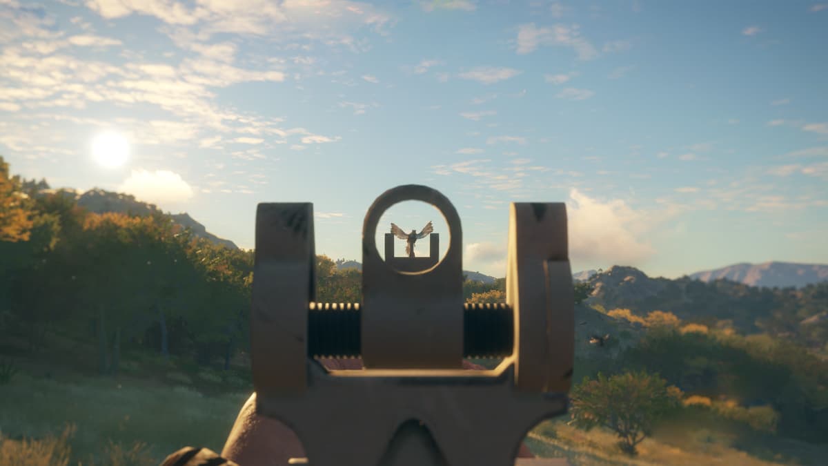 Picture of theHunter: Call of the Wild™ - Modern Rifle Pack