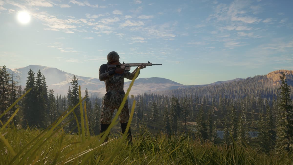 Picture of theHunter: Call of the Wild™ - Modern Rifle Pack