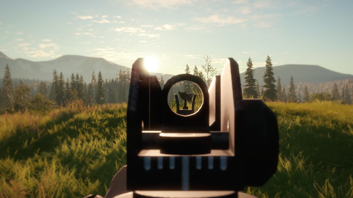 Picture of theHunter: Call of the Wild™ - Modern Rifle Pack