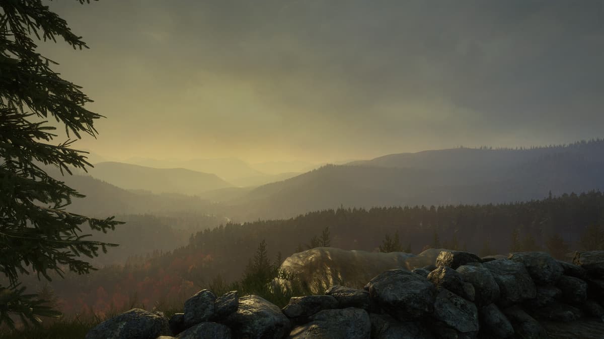 Picture of theHunter: Call of the Wild™ - New England Mountains