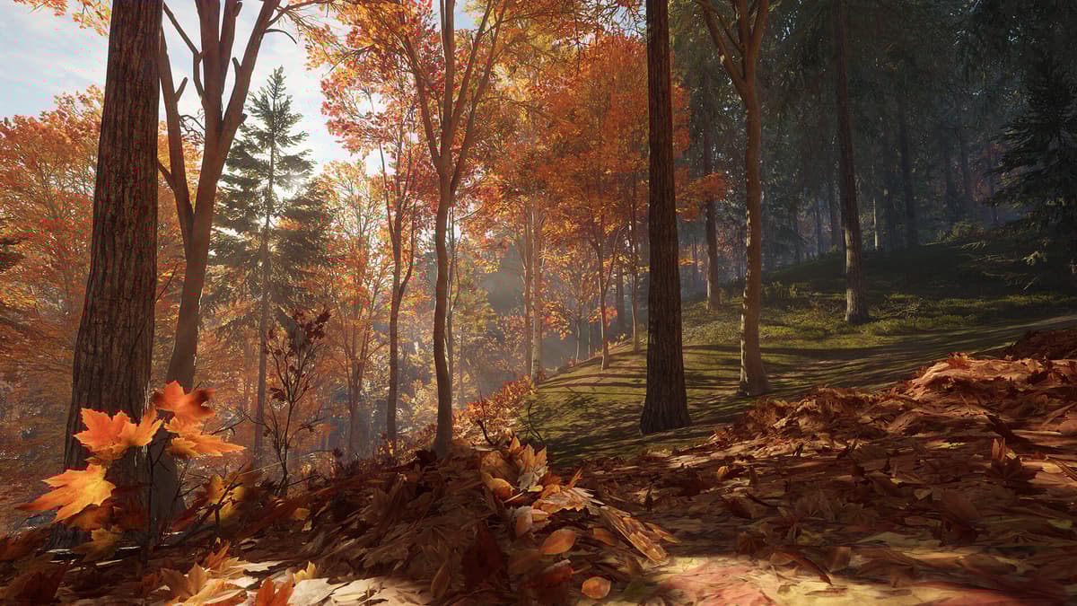 Picture of theHunter: Call of the Wild™ - New England Mountains