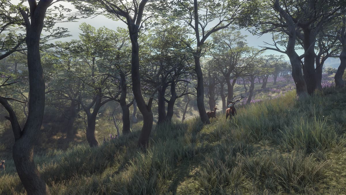 Picture of theHunter: Call of the Wild™ - Parque Fernando