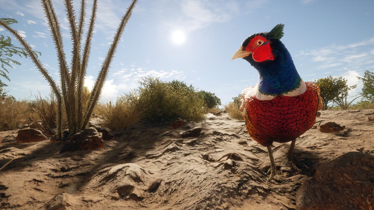 Picture of theHunter: Call of the Wild™ - Rancho del Arroyo