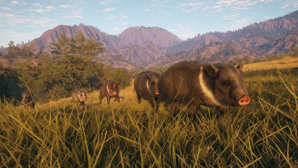 Picture of theHunter: Call of the Wild™ - Rancho del Arroyo
