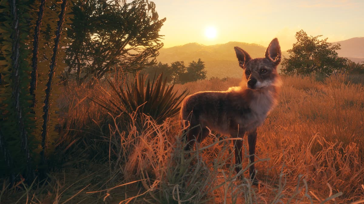 Picture of theHunter: Call of the Wild™ - Rancho del Arroyo