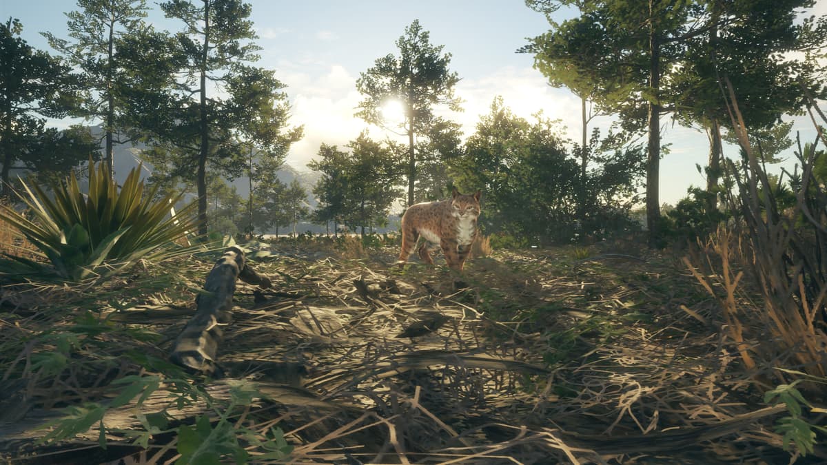 Picture of theHunter: Call of the Wild™ - Rancho del Arroyo