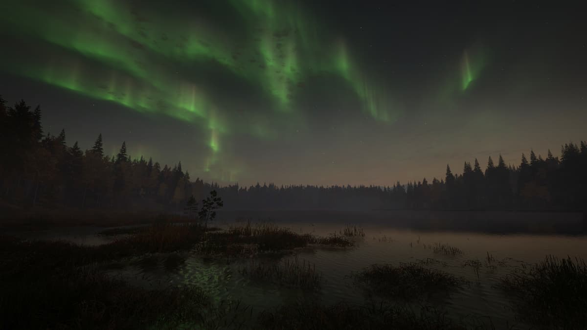 Picture of theHunter: Call of the Wild™ - Revontuli Coast