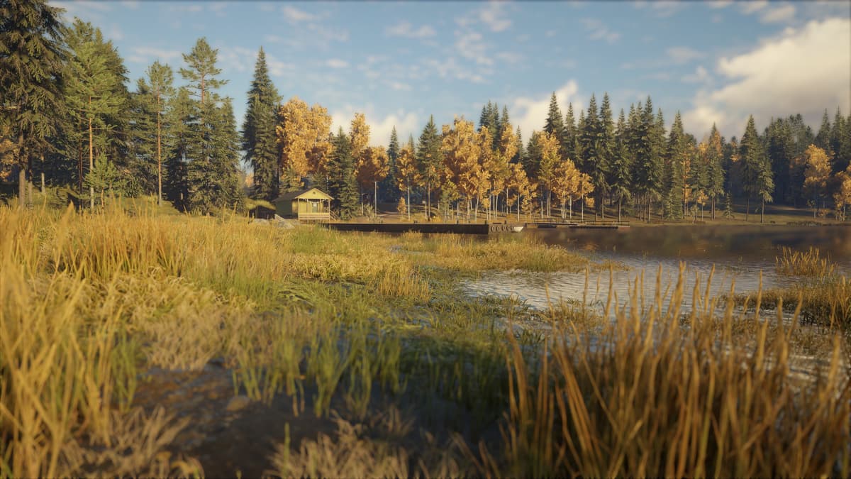 Picture of theHunter: Call of the Wild™ - Revontuli Coast