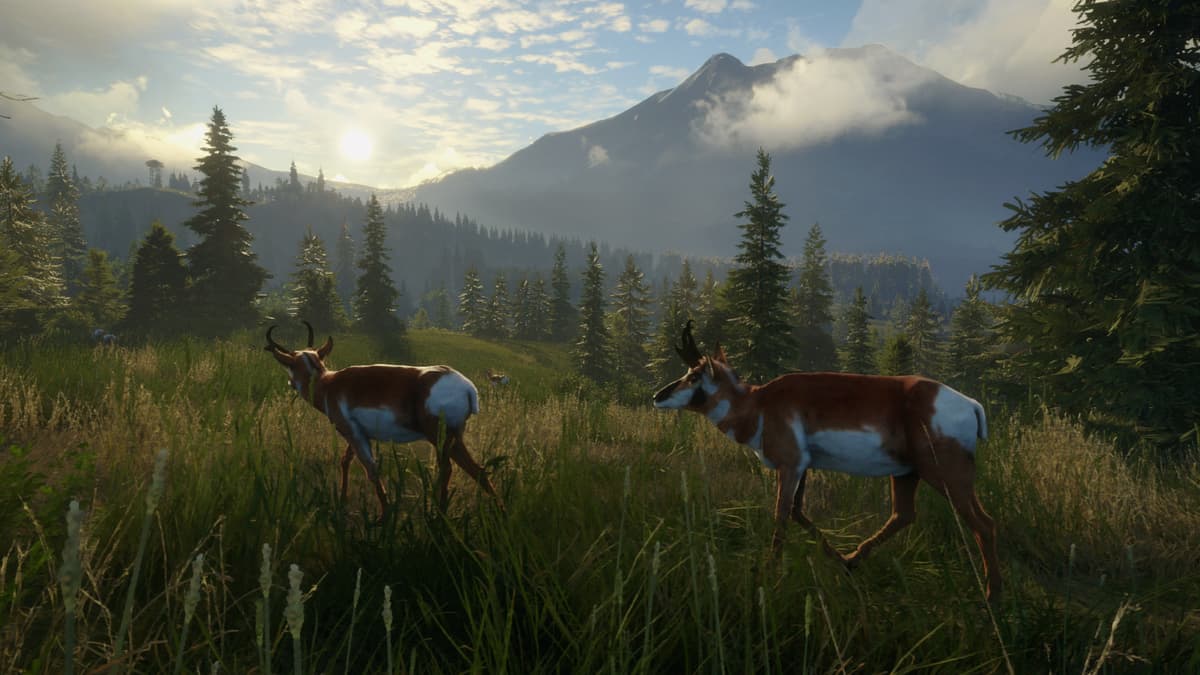 Picture of theHunter: Call of the Wild™ - Silver Ridge Peaks