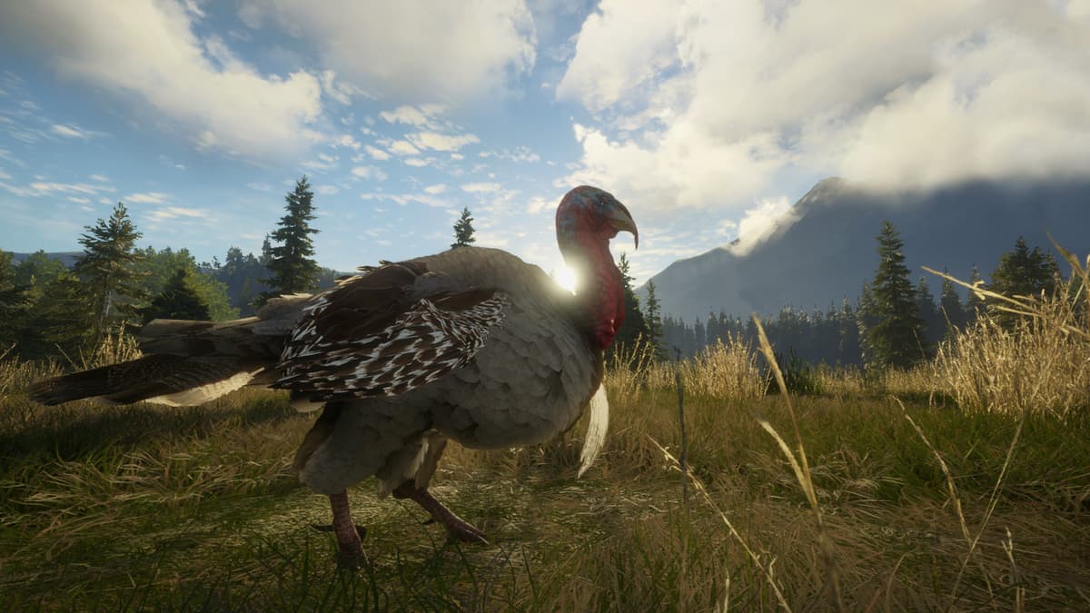 Picture of theHunter: Call of the Wild™ - Silver Ridge Peaks