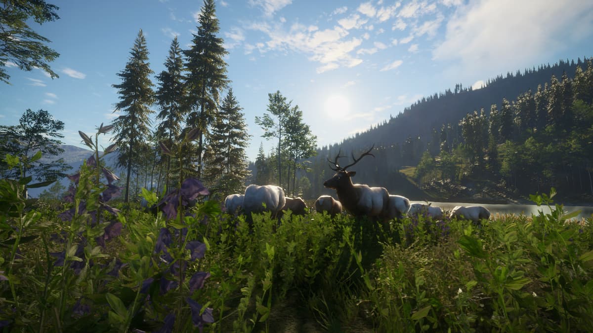 Picture of theHunter: Call of the Wild™ - Silver Ridge Peaks