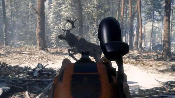 Picture of theHunter: Call of the Wild™ - Smoking Barrels Weapon Pack